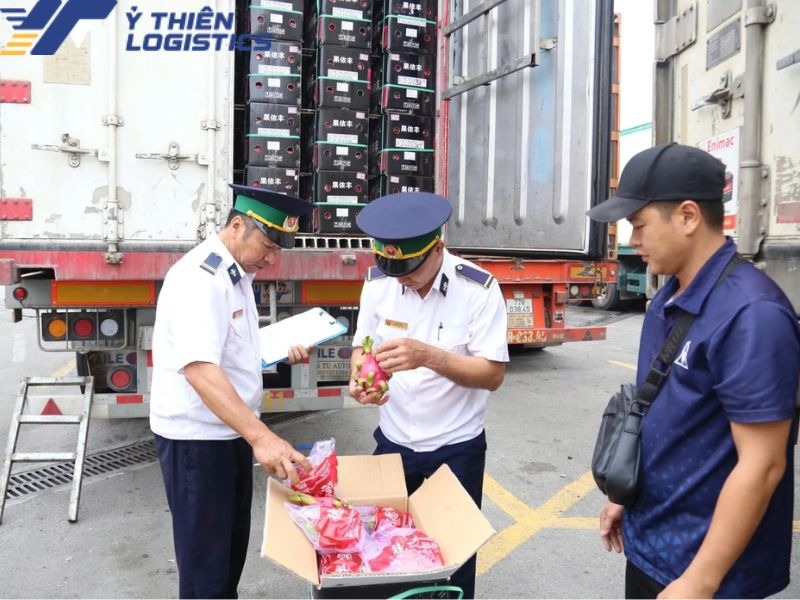 Dịch vụ vận chuyển hàng Trung Quốc đường bộ