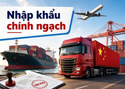 Thủ tục, quy trình nhập khẩu chính ngạch Trung Quốc về Việt Nam