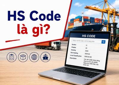 HS Code là gì? Cách tra cứu mã HS Code đơn giản, chính xác